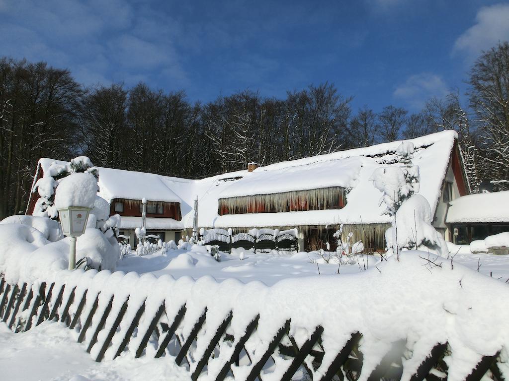 Restaurant & Hotel Baumhaus Hagen ساسنيتز المظهر الخارجي الصورة