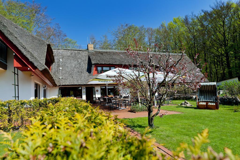 Restaurant & Hotel Baumhaus Hagen ساسنيتز المظهر الخارجي الصورة